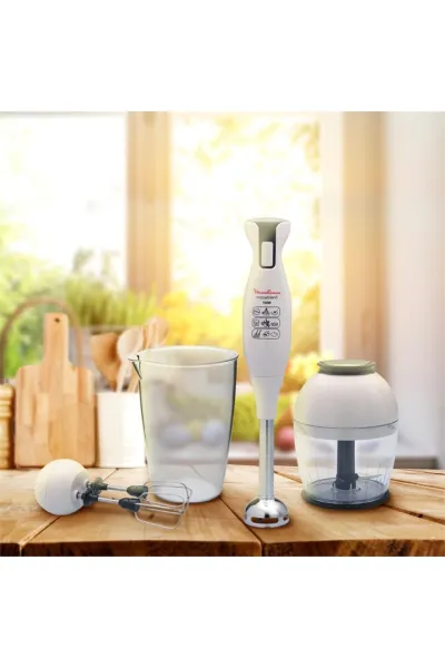 Blender Moulinex MLX DD 1141